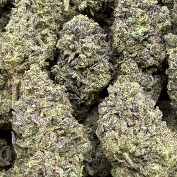Blue Skunk