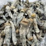 Icebergs - Raw Mushrooms