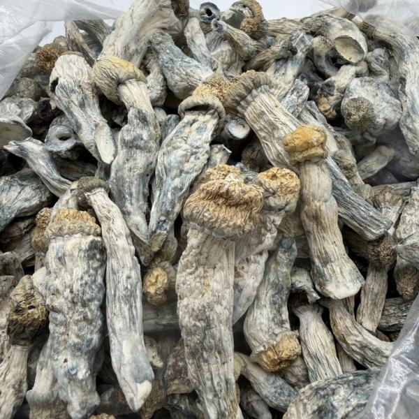 Icebergs - Raw Mushrooms