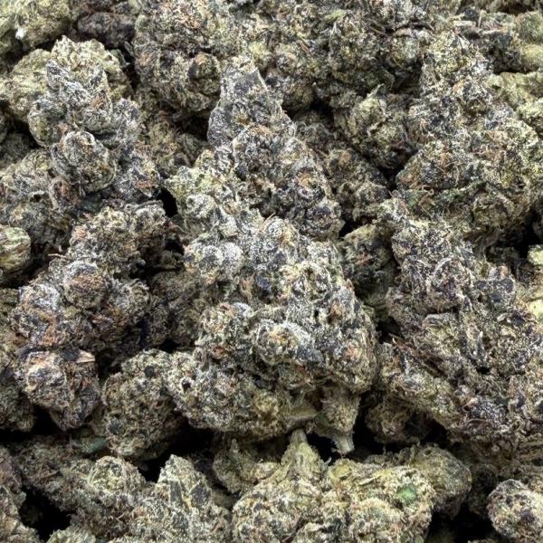 Lobster OG