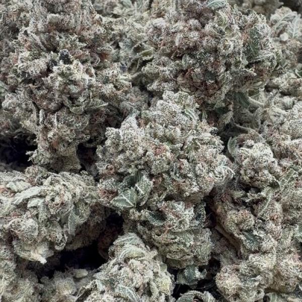 Gorilla Glue