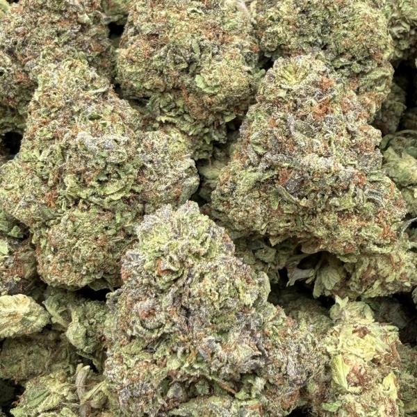 Purple Tart