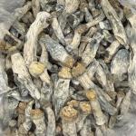 Icebergs - Raw Mushrooms