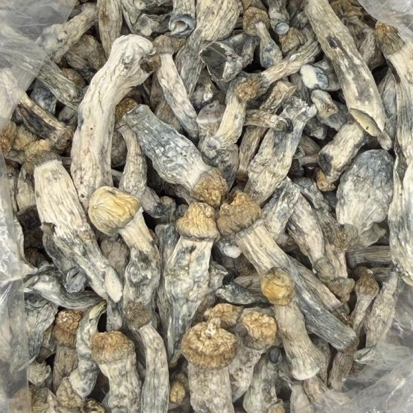Icebergs - Raw Mushrooms