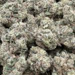 Kandy Kush
