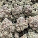 GG#4 - New Batch