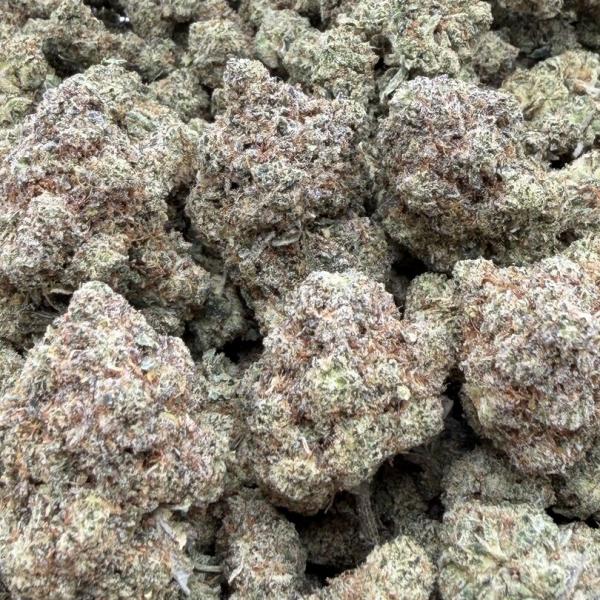 GG#4 - New Batch