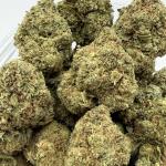 Sherbet