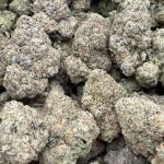 White Cherry Gelato