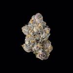 Wizard Trees Black Magic (3.5g/jar sealed)