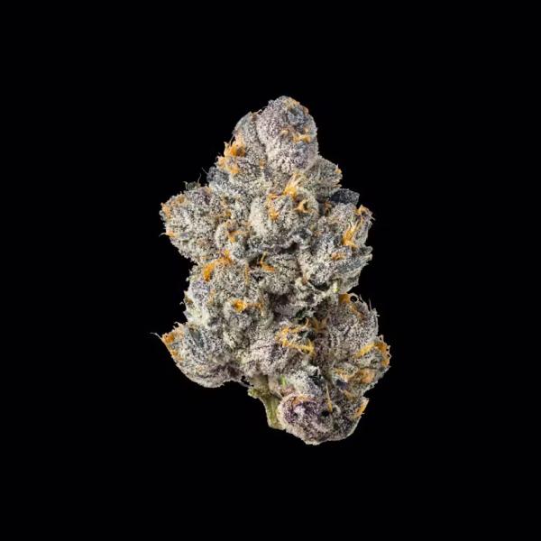 Wizard Trees Black Magic (3.5g/jar sealed)