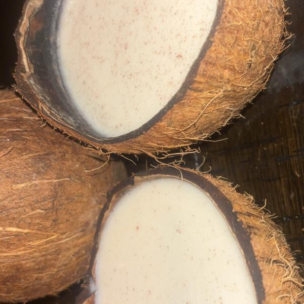Fresh Homemade Coconut Milk