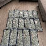 Frosted Glue .  Real gas nose ⛽️.