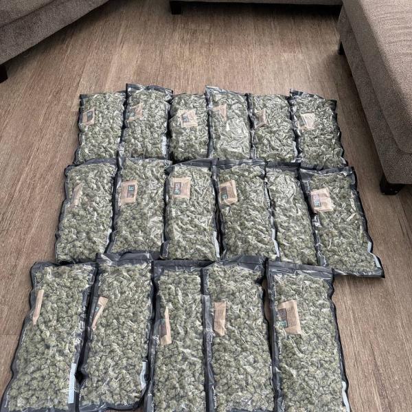 Frosted Glue .  Real gas nose ⛽️.