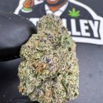 Exotic LCG (B93)