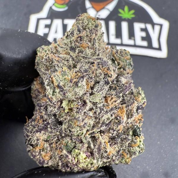 Purple LCG