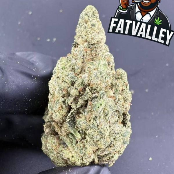 Premium OG Glue (B92)