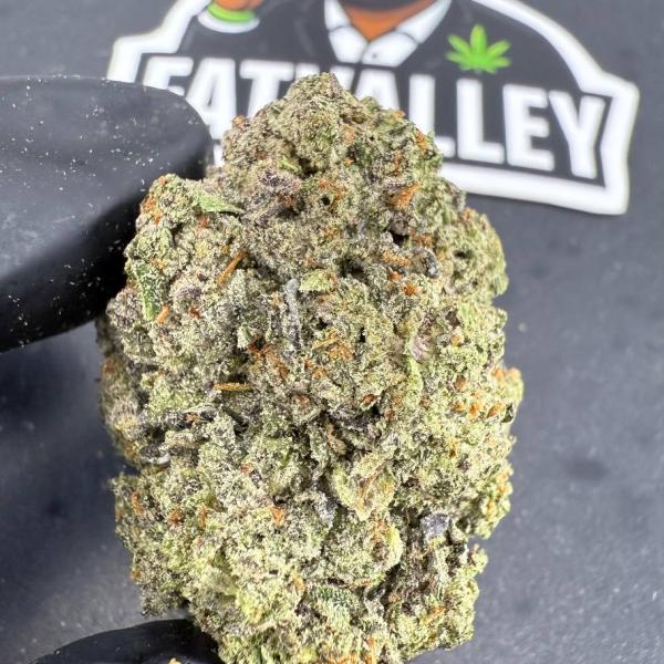 Purple Fantasy (B54)