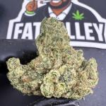 Black Diamond (B82)