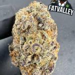Grape Cherry Gelato (B40)