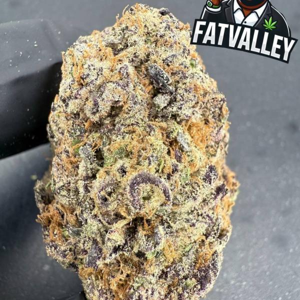 Grape Cherry Gelato (B40)