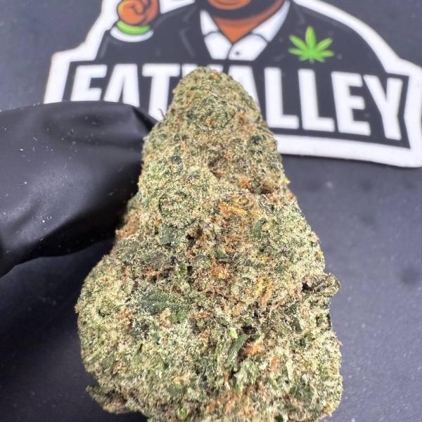 Khalifa Kandy (B81)