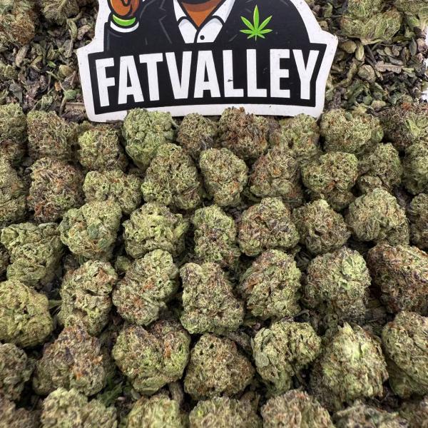 Purple Hazt Smalls (S07)