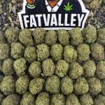 Girl Scout Cookie  Smalls (S02)