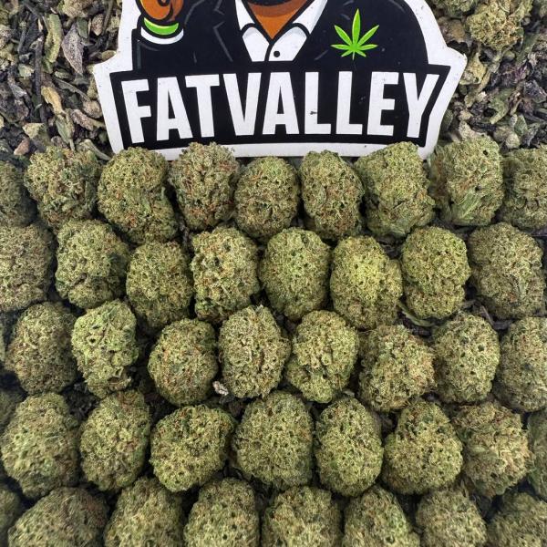 Girl Scout Cookie  Smalls (S02)