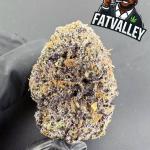 Mochi Gelato B94
