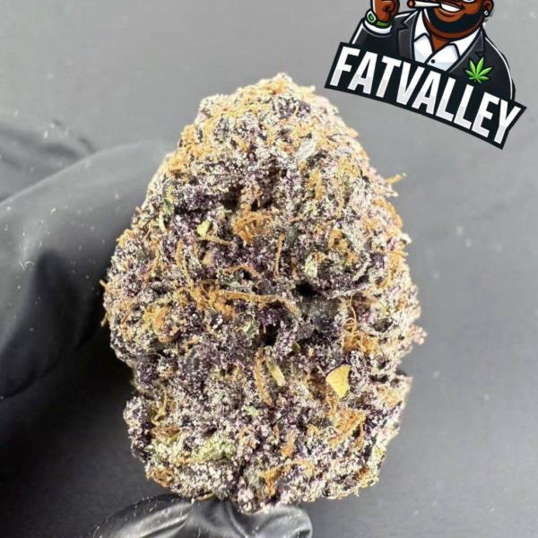 Mochi Gelato B94