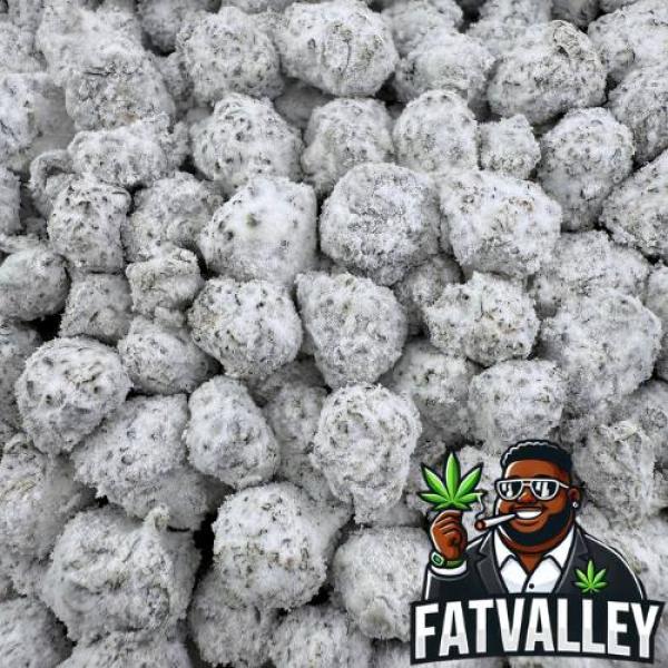 Snowball Blackcherry Pie Smalls (CX05)
