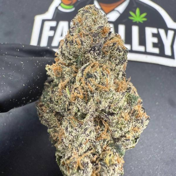 Candy Fumez B97