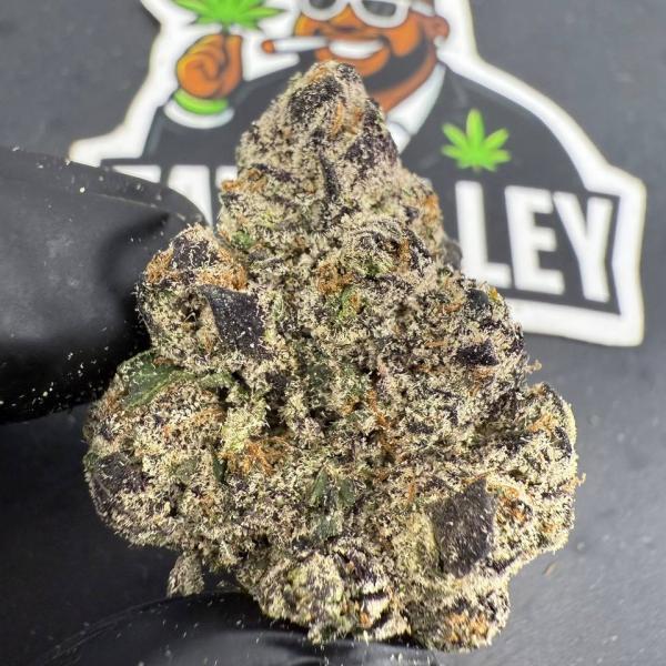 Candy Heart B73