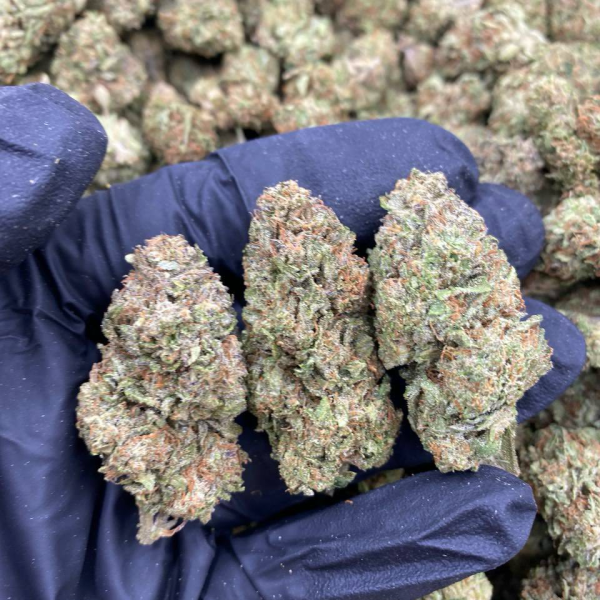 🕹️REAL INDOOR 🇺🇸 FLOWERS  IN LBS