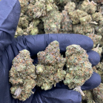 🕹️REAL INDOOR 🇺🇸 FLOWERS  IN LBS