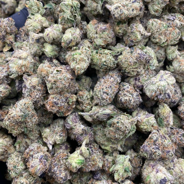 🕹️EXOTIC SMALLS