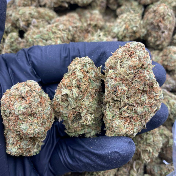 🕹️REAL INDOOR 🇺🇸 FLOWERS  IN LBS