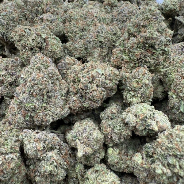 🕹️CALIFORNIA INDOOR LOOSE FLOWERS