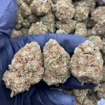 🕹️REAL INDOOR 🇺🇸 FLOWERS  IN LBS