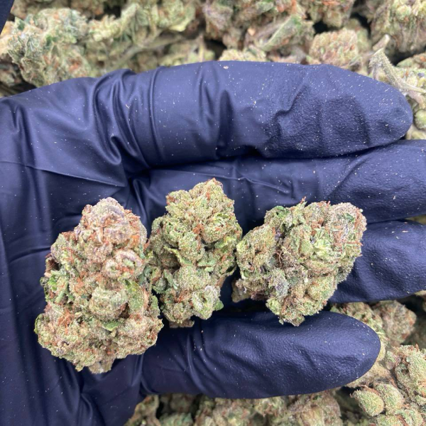 🕹️EXOTIC SMALLS