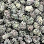 GMO Sherbert Smalls