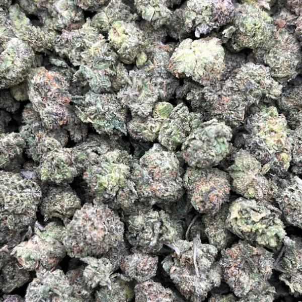 GMO Sherbert Smalls