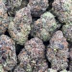 Cherry Gelato Rush