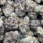 Lemon Cherry Gelato