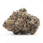 Pink Gum Drop