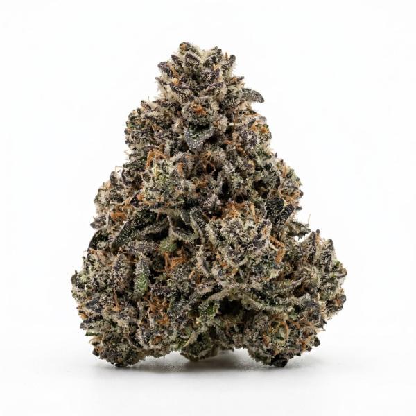 Lemon Cherry Gelato
