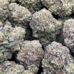 White Widow