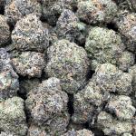 Pink Gum Drop