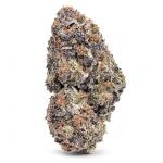 Cherry Gelato Rush